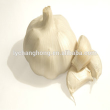 Factory outlet fresh white garlic on hot sale
